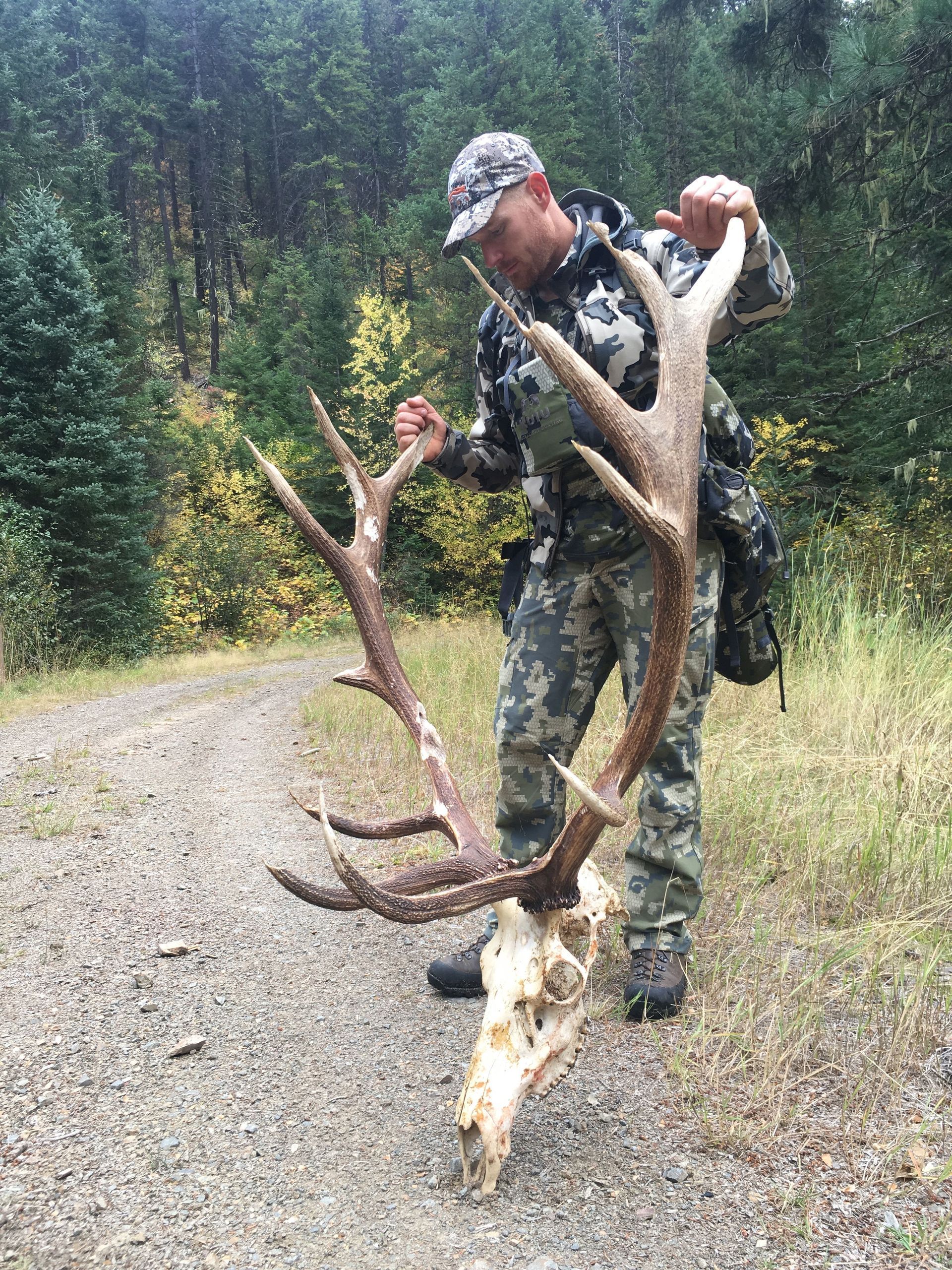 A man is standing on a dirt road holding a large deer skull.