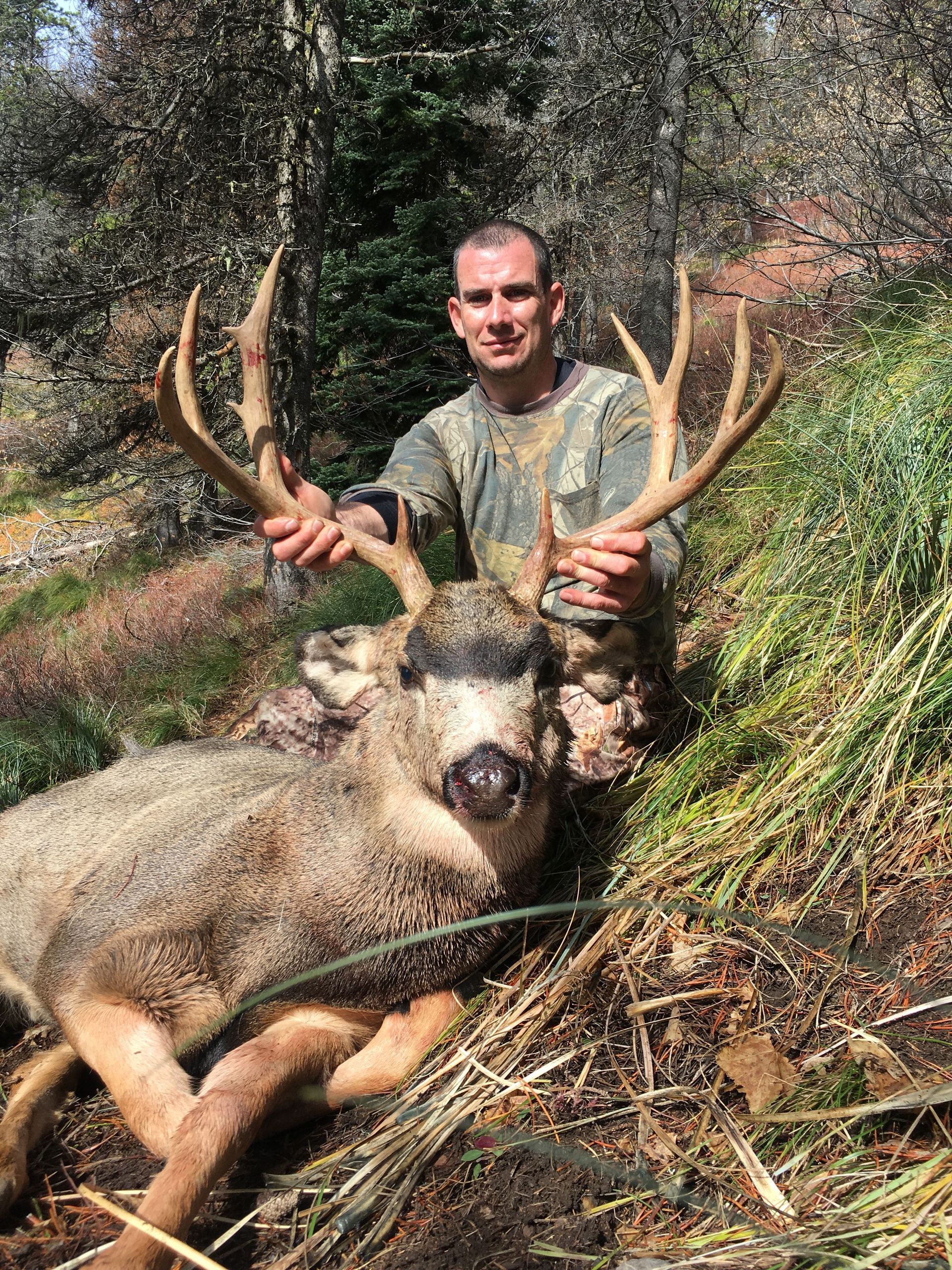 Mule deer hunts