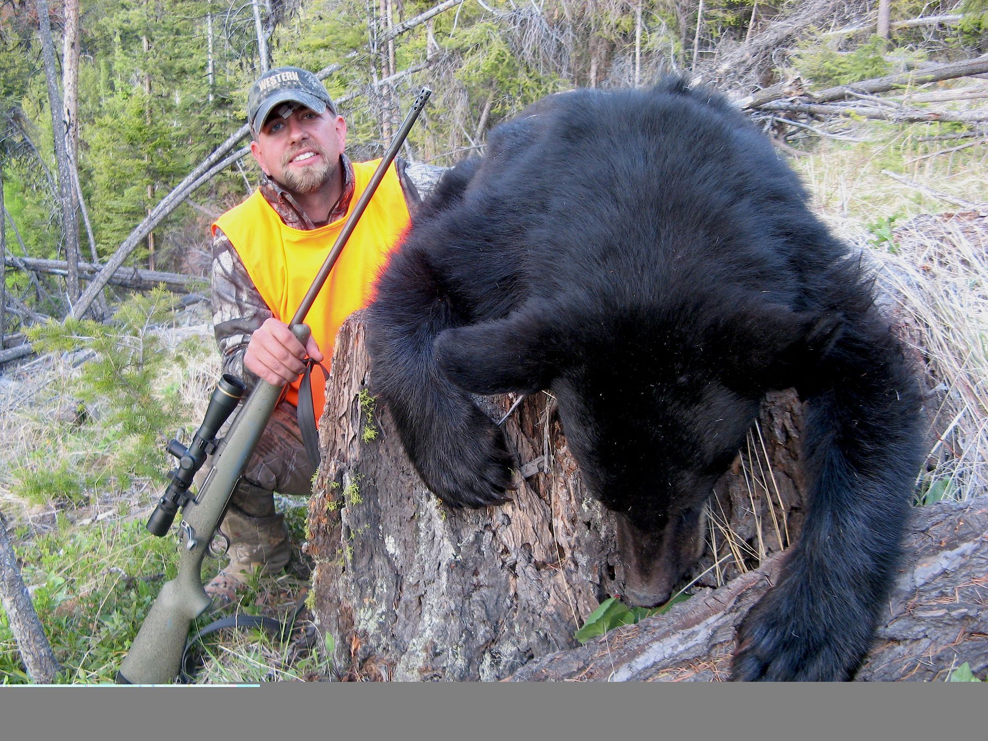 A black bear is laying on its back in the snow.