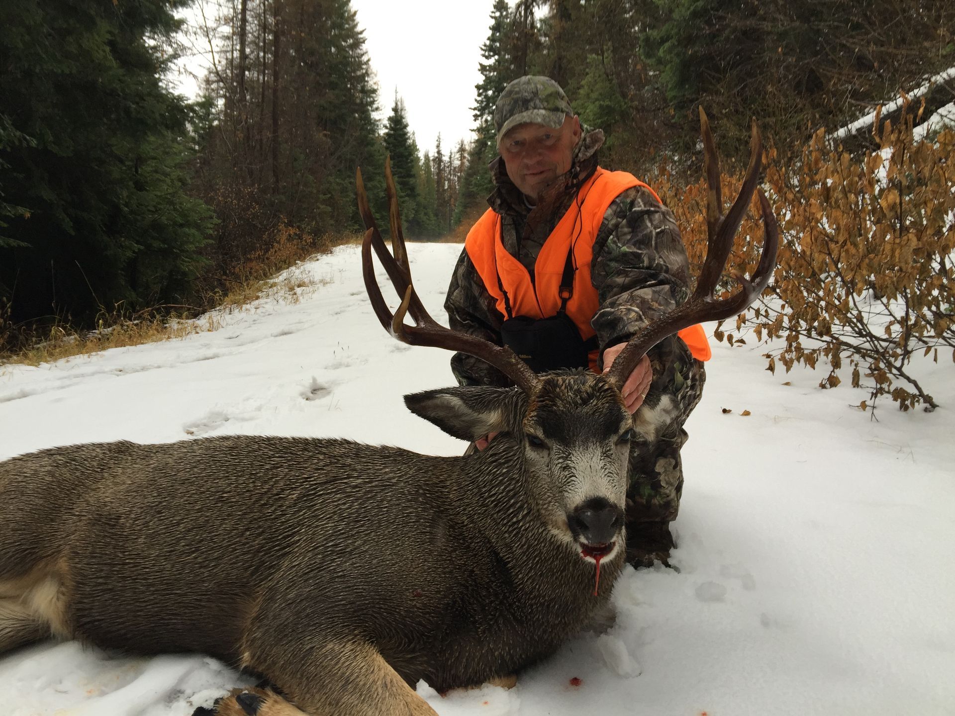 Mule deer huntsMule deer hunts