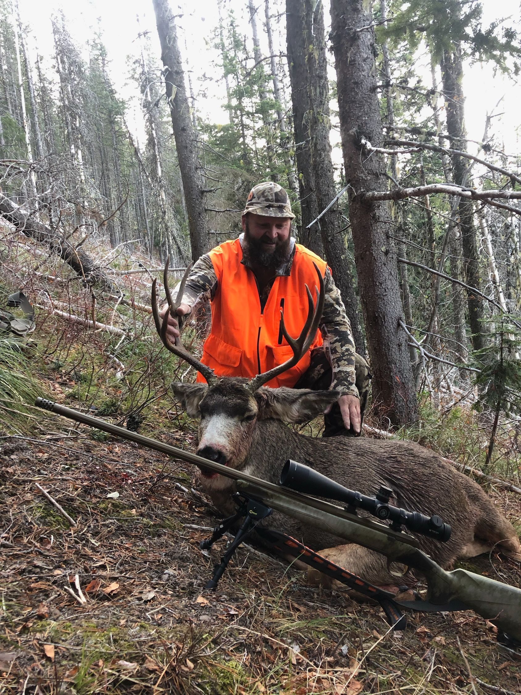 Mule deer hunts