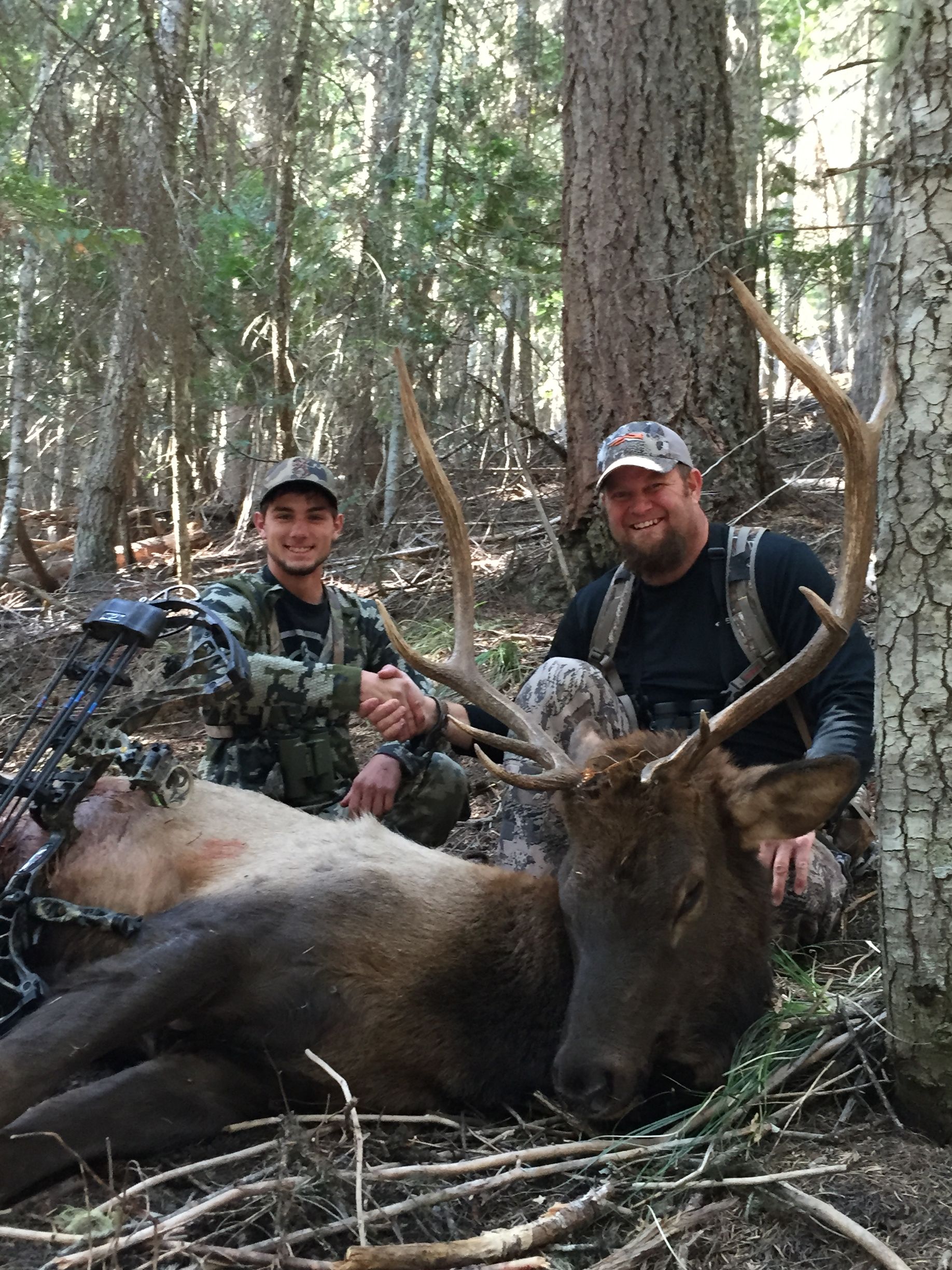 Two men are standing next to a large elk in the woods.