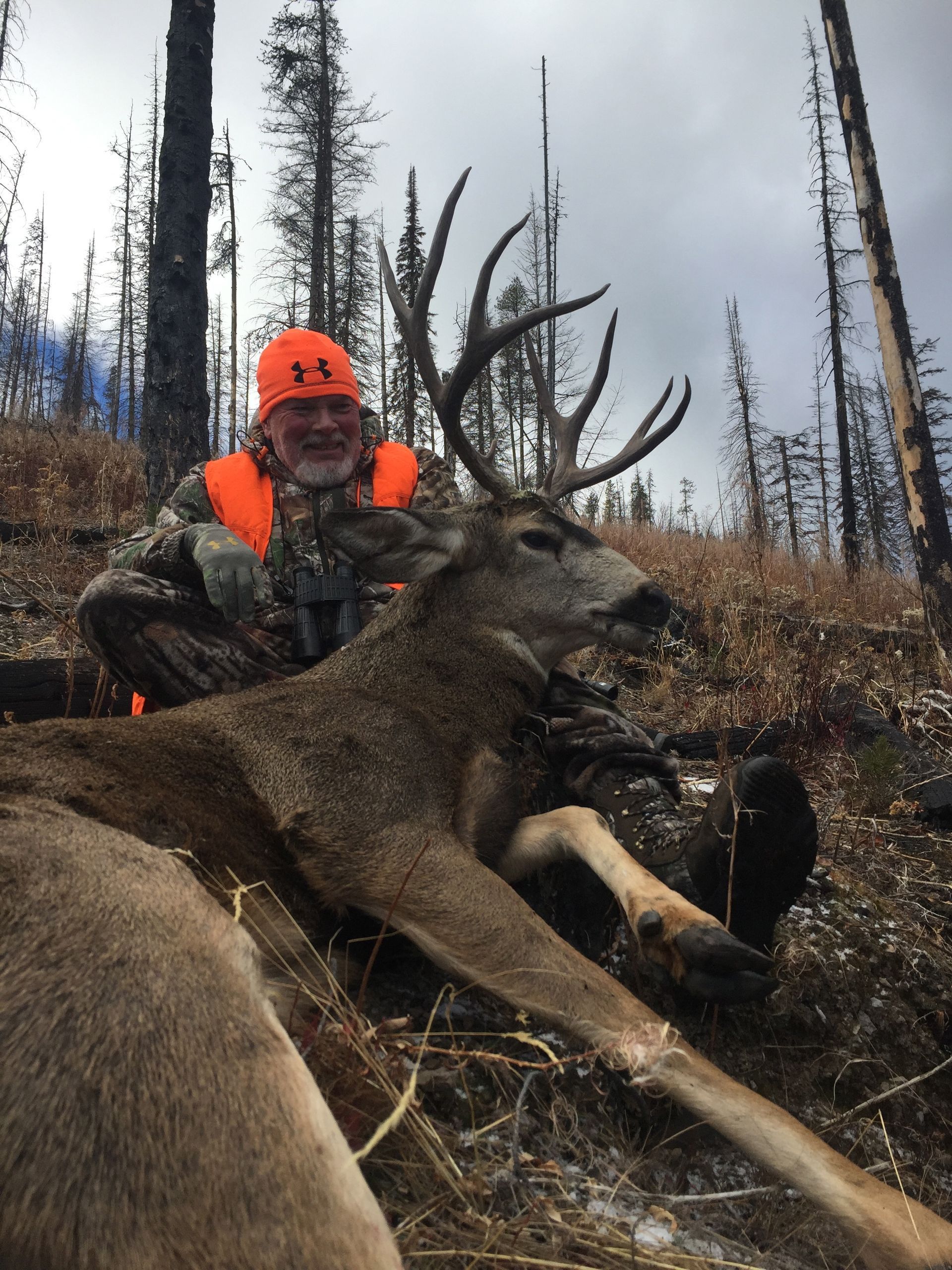 Mule deer hunts