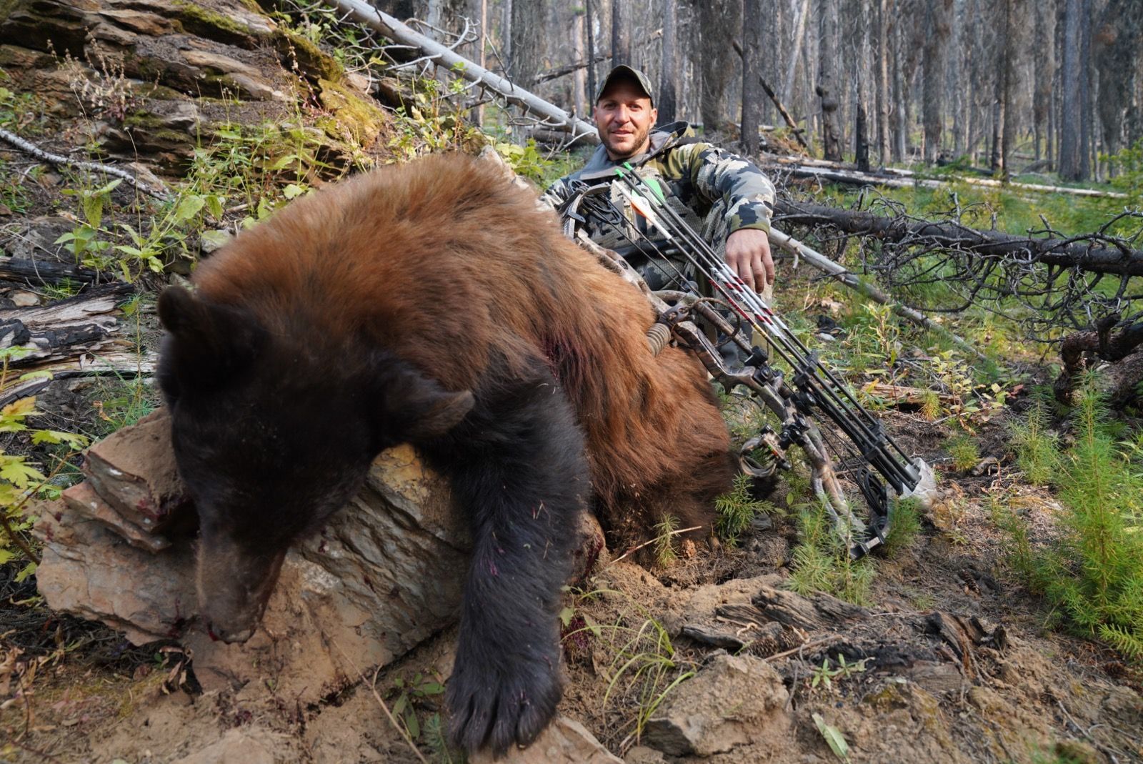 A black bear is laying on its back in the snow.