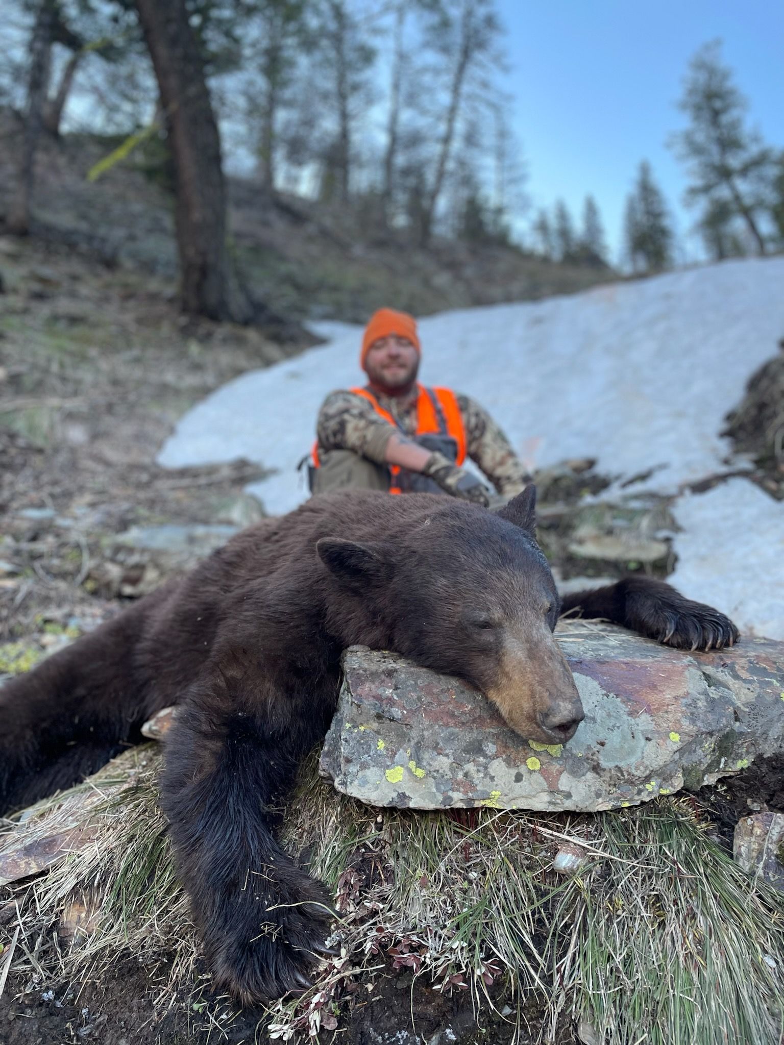 A black bear is laying on its back in the snow.