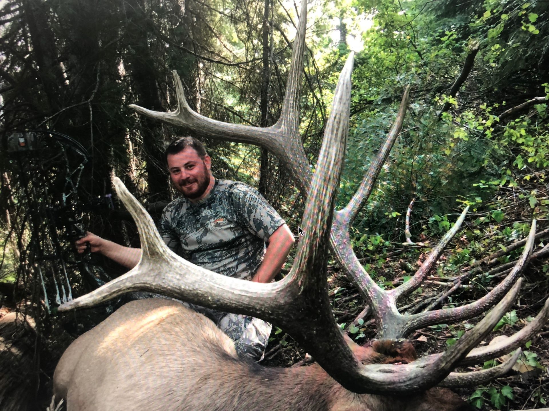 A man is standing next to a large deer in the woods.
