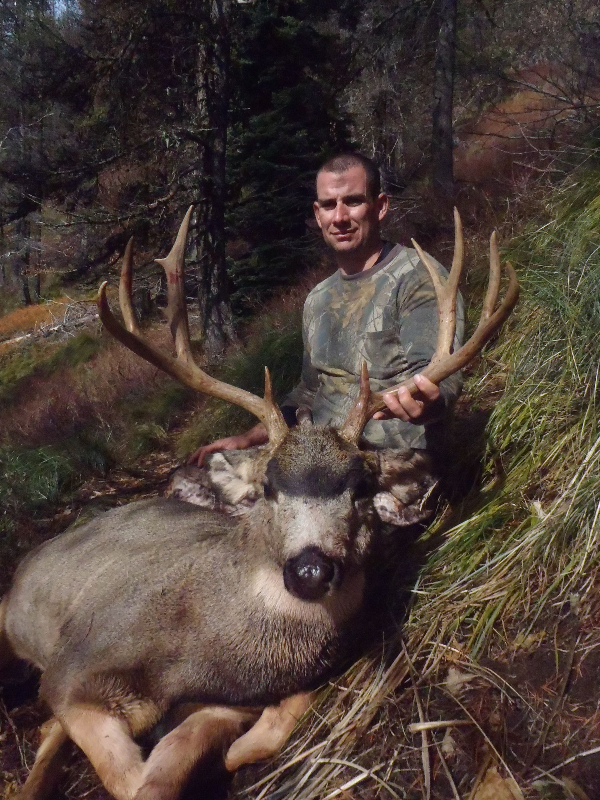 A man is standing next to a large deer in the woods