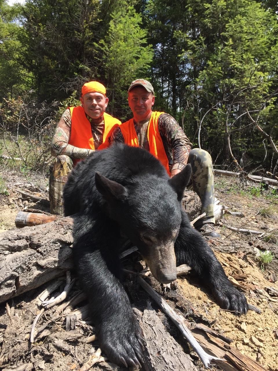 A black bear is laying on its back in the snow.