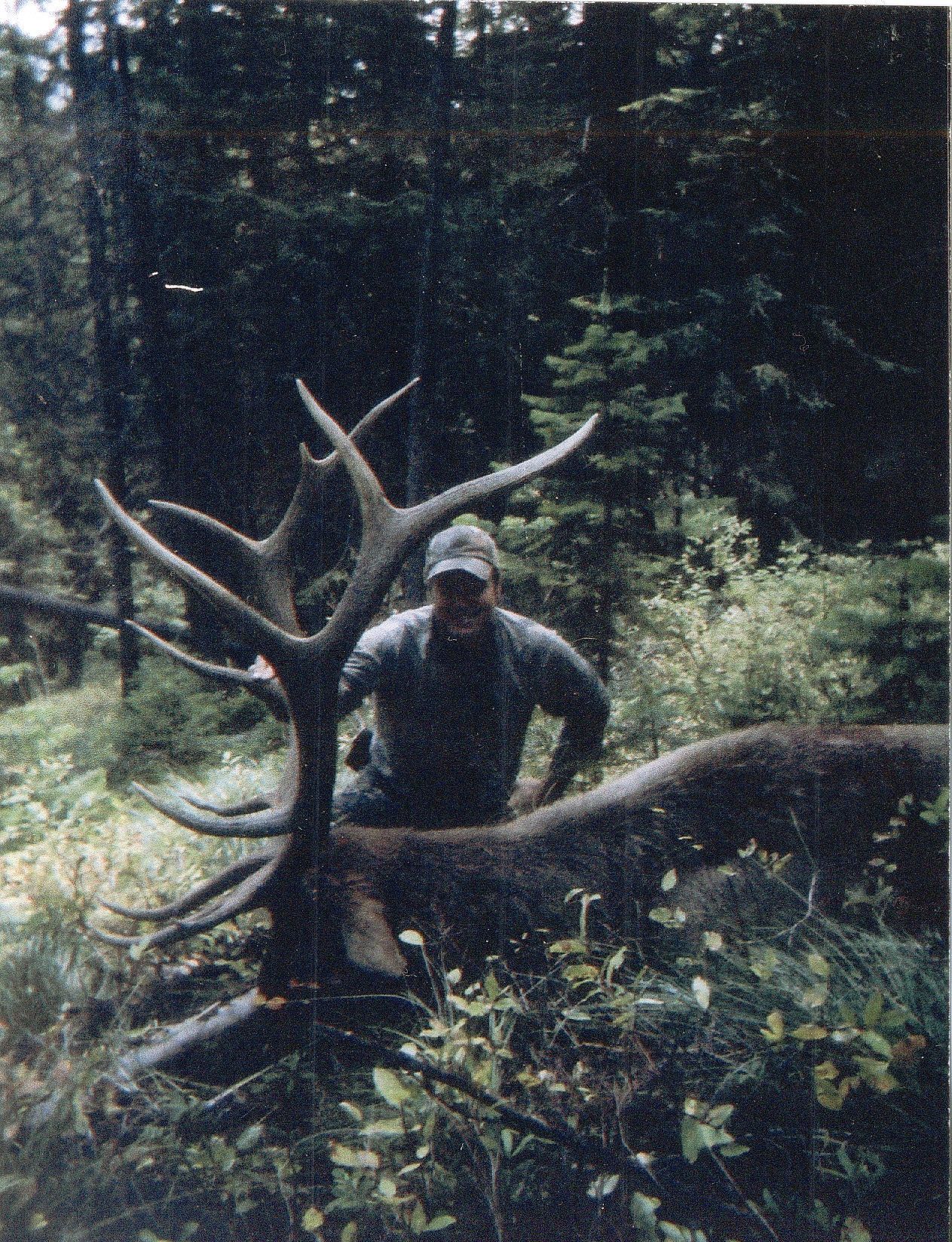 A man is standing next to a large deer in the woods