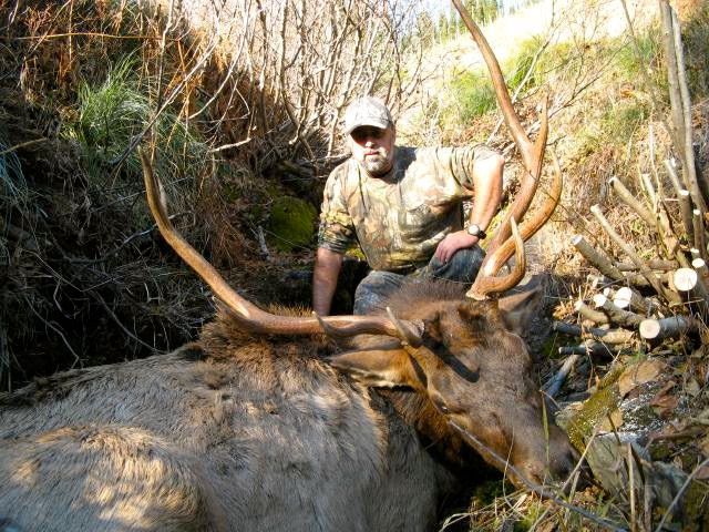 Mule deer hunts