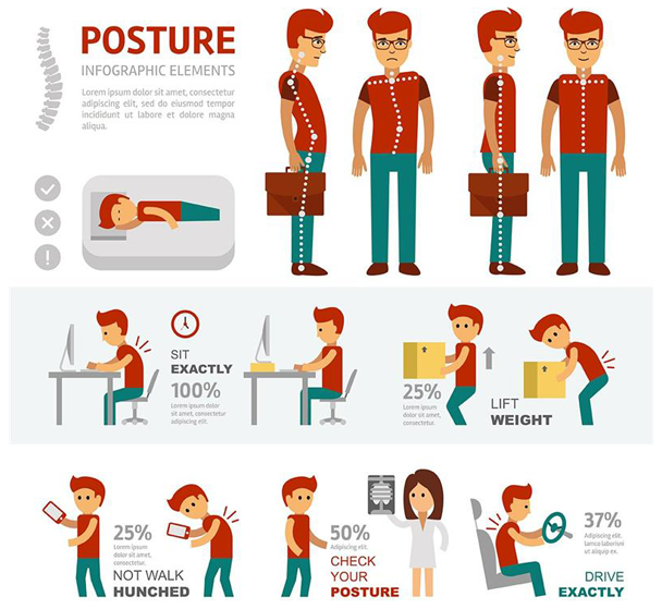 Infographic Showing Various Postures — Wide Bay Chiropractic in Gympie, QLD