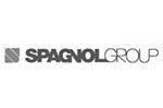 Logo SPAGNOL GROUP: testo "SPAGNOLGROUP" accanto a un disegno quadrato astratto grigio.