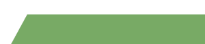 A green rectangle on a white background with a shadow.