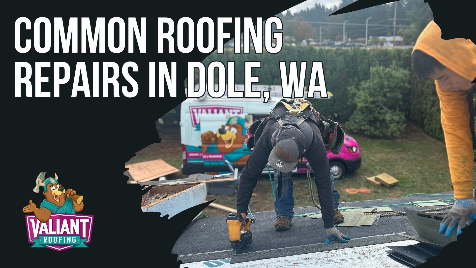 Common Roofing Repairs in Dole