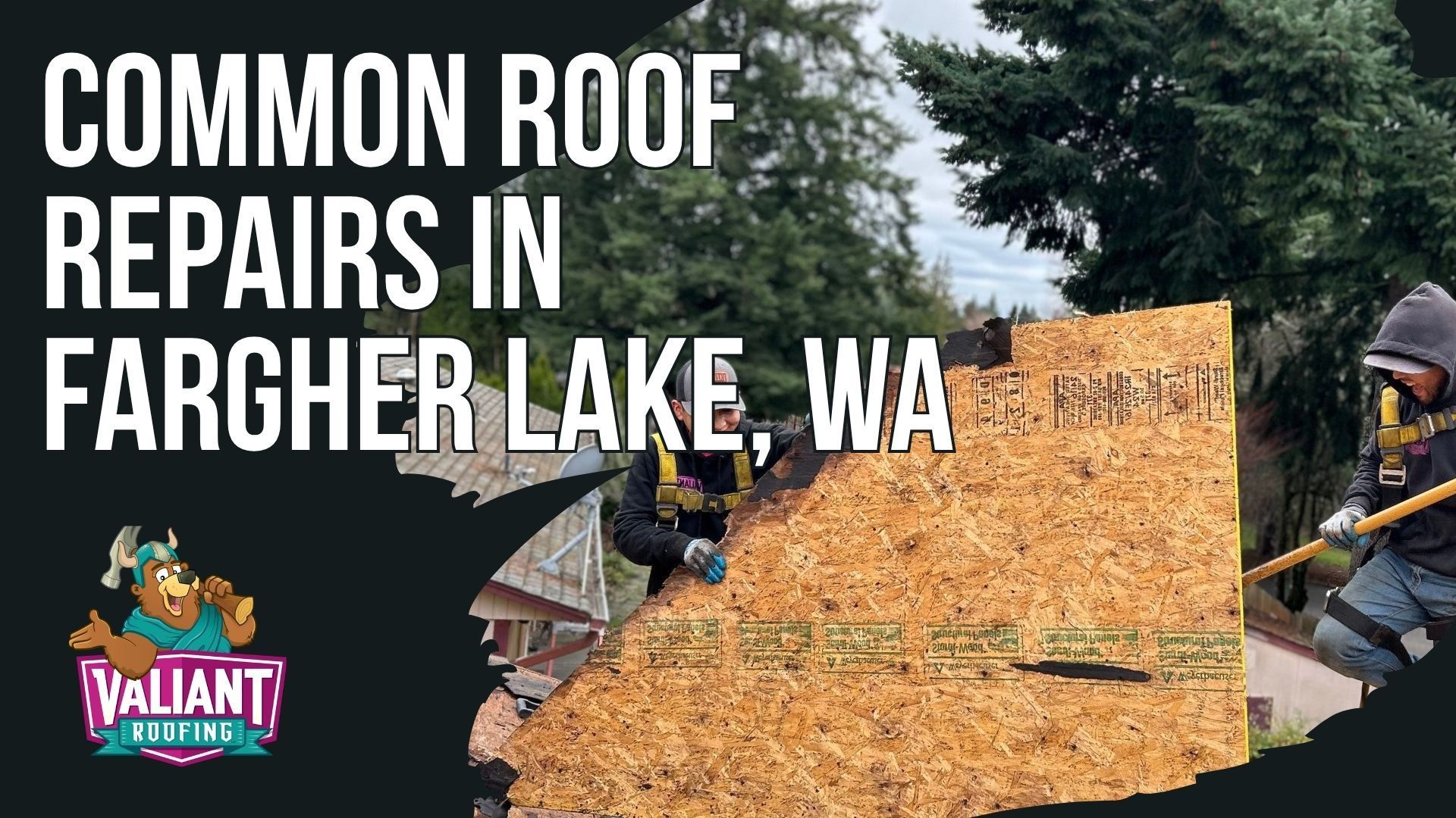 Common Roof Repairs in Fargher Lake