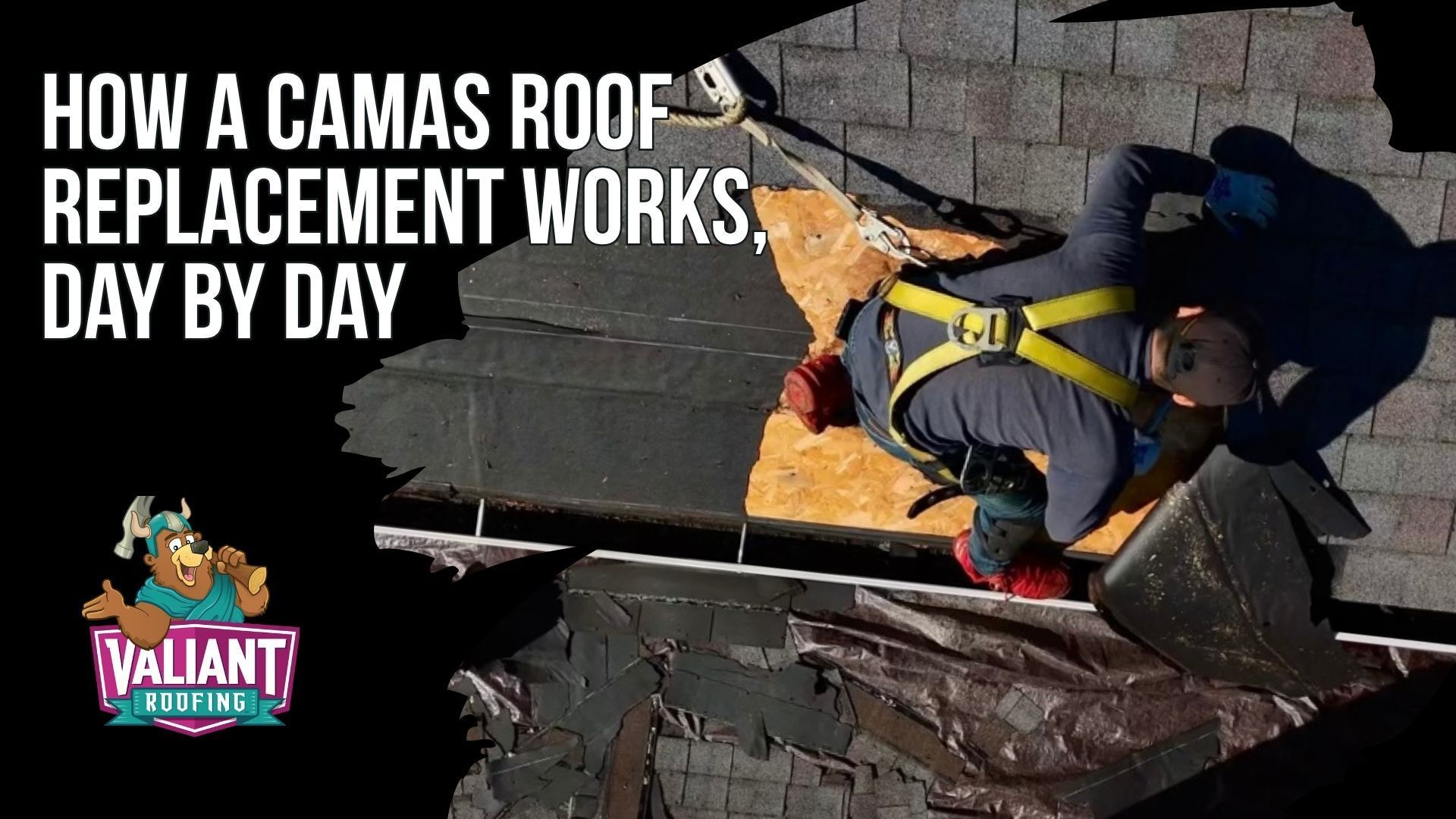 How a Camas Roof Replacement Works, Day by Day
Valiant Roofing walks a Camas homeowner through each phase of a 1 to 3 day roof replacement, from a free Day 0 inspection where every slope and attic penetration is photographed and emailed before anyone leaves, to a Day 1 materials staging and permit pull through the City of Camas or Clark County. The Day 2 crew tears every layer to the plywood, replaces rotted decking on camera, then installs synthetic underlayment, ice-and-water shield, drip edge, field shingles, ridge vent, and caps in sequence. Day 3 closes with an independent post-install inspector separate from the crew, a magnetic nail sweep of the yard and driveway, dumpster removal within 48 hours, and a full CompanyCam archive delivered to the homeowner.
108 SE 124th Ave Suite 8, Vancouver, WA 98684
https://www.valiantroofing.com/locations/vancouver-wa