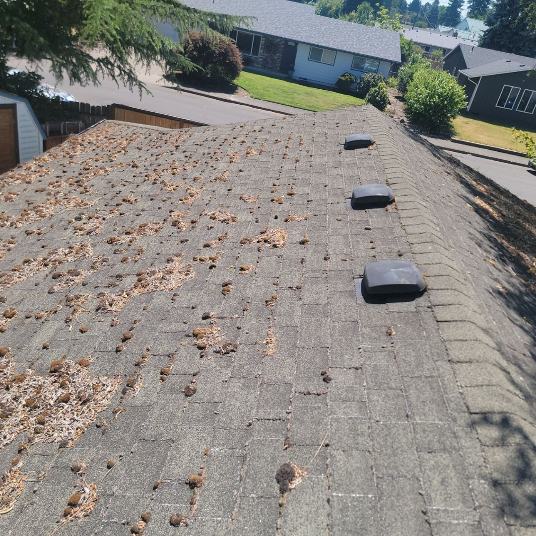 Roof repair near me by Valiant Roofing offers full service roof repair in Vancouver WA, Portland OR and Olympia WA including advanced leak tracing, ridge repair, storm-lifted shingle replacement, flashing rebuilds and emergency waterproofing in Clark County and Multnomah County.