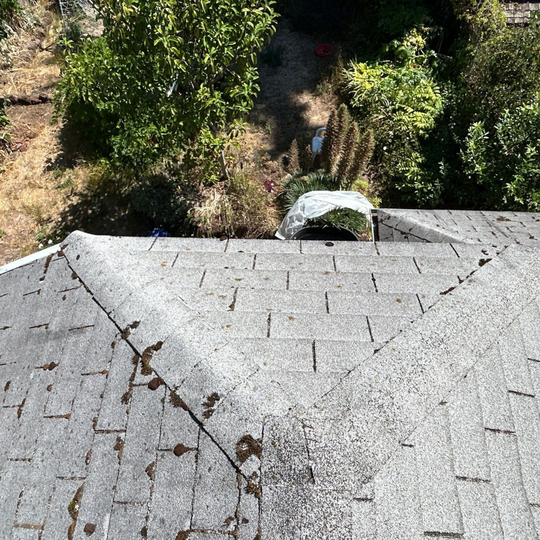 Roof repair near me by Valiant Roofing delivers expert roof repair in Vancouver WA, Portland OR and Olympia WA featuring leak isolation, structural moisture control, flashing adjustments, pipe boot repair and emergency tarping throughout Clark County and Multnomah County.