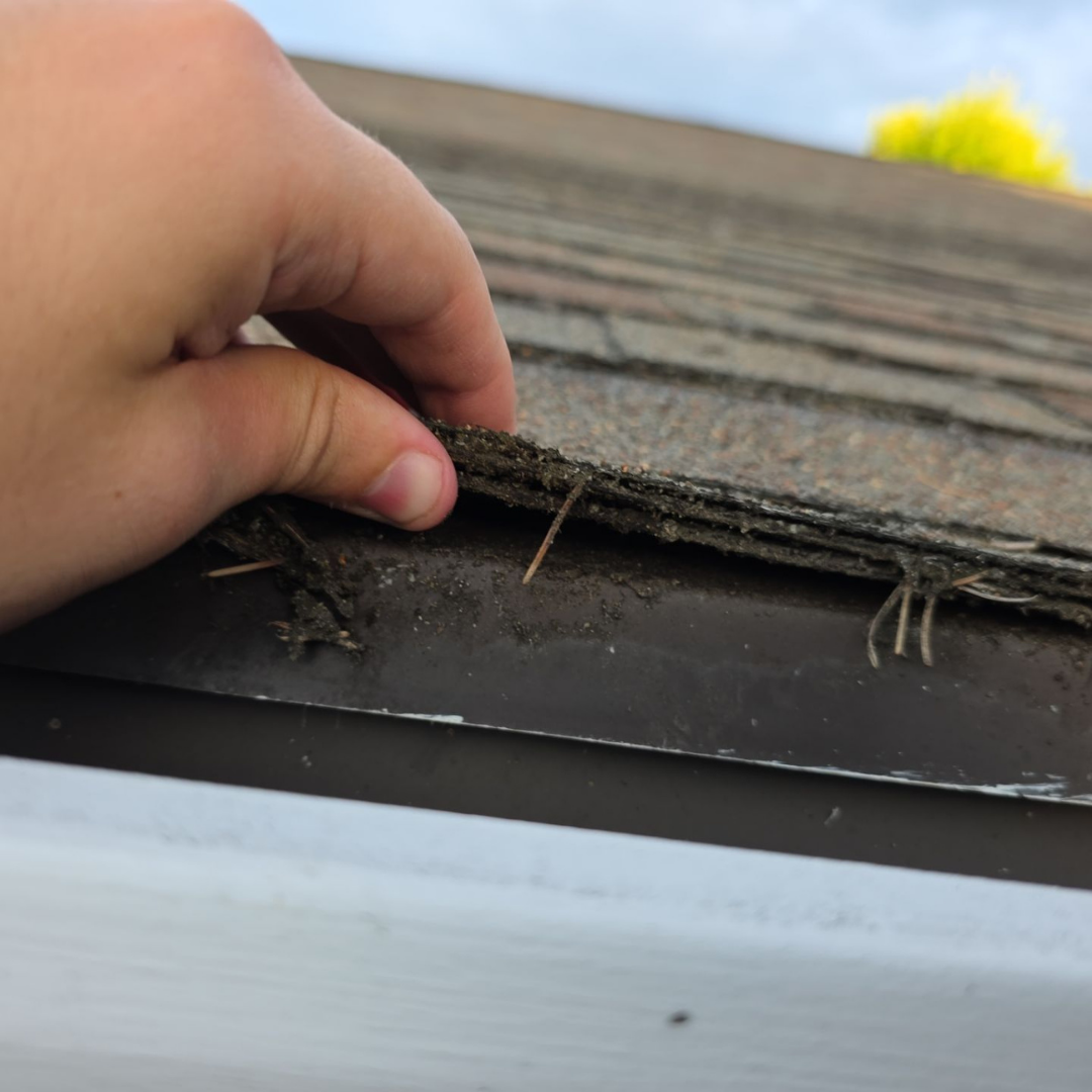 Roof repair near you by Valiant Roofing provides emergency roof repair in Vancouver WA, Portland OR and Olympia WA including leak containment, flashing transition repair, shingle realignment and water intrusion removal across Clark County and Multnomah County.