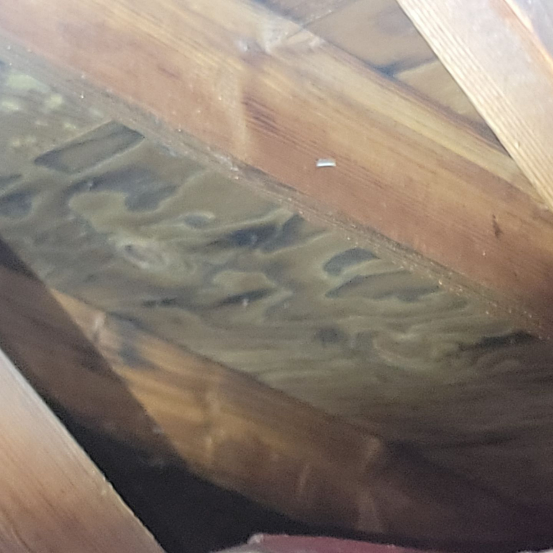 Roof repair near me Vancouver, WA means getting a local team that understands the common causes of damage here, from moss buildup and wind driven shingle loss to failing chimney and pipe flashing. These issues can start small but turn into major leaks and rot if not repaired correctly the first time. If you are searching for roof repair near you Vancouver, WA, choose experts who inspect thoroughly and fix the real problem, not just the visible symptom. Contact Valiant Roofing at 108 SE 124th Ave Suite 8, Vancouver, WA 98684 or schedule here https://www.valiantroofing.com/locations/vancouver-wa