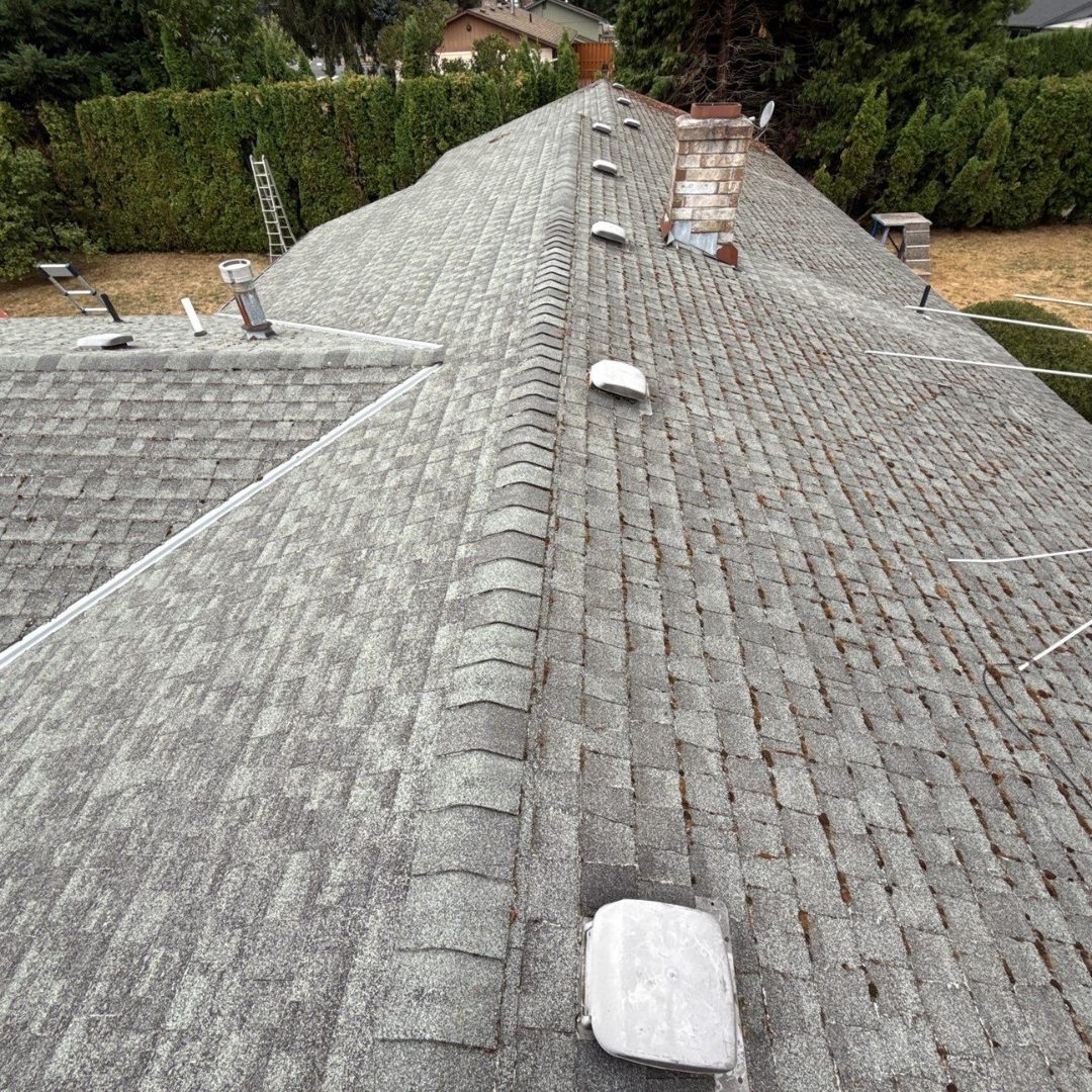 ROOF REPAIR NEAR YOU | Valiant Roofing offers professional roof repair services supported by Google Verified recognition, Owens Corning Platinum Preferred certification, and hundreds of five star reviews. We specialize in leak repair, shingle repair, and clear repair estimates.