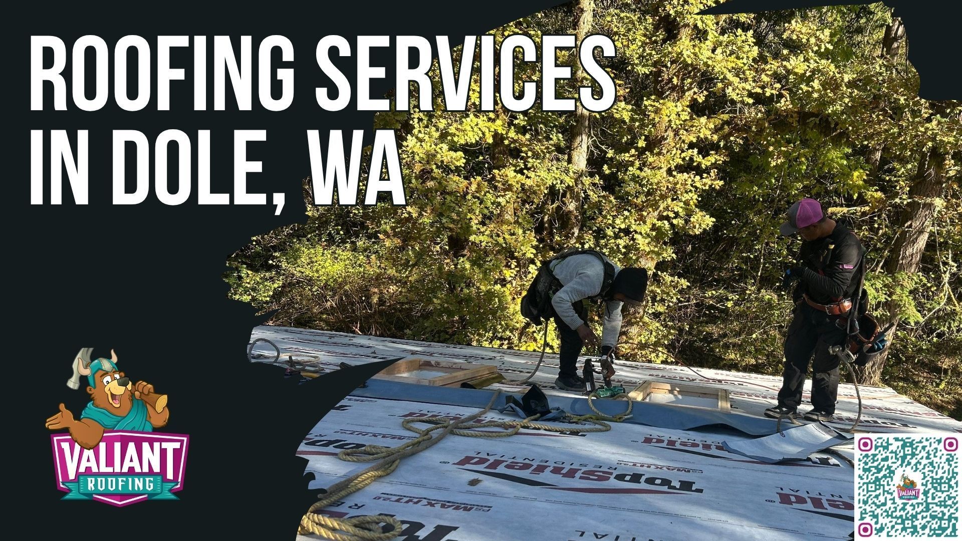 Residential Roof Repair in Dole, WA