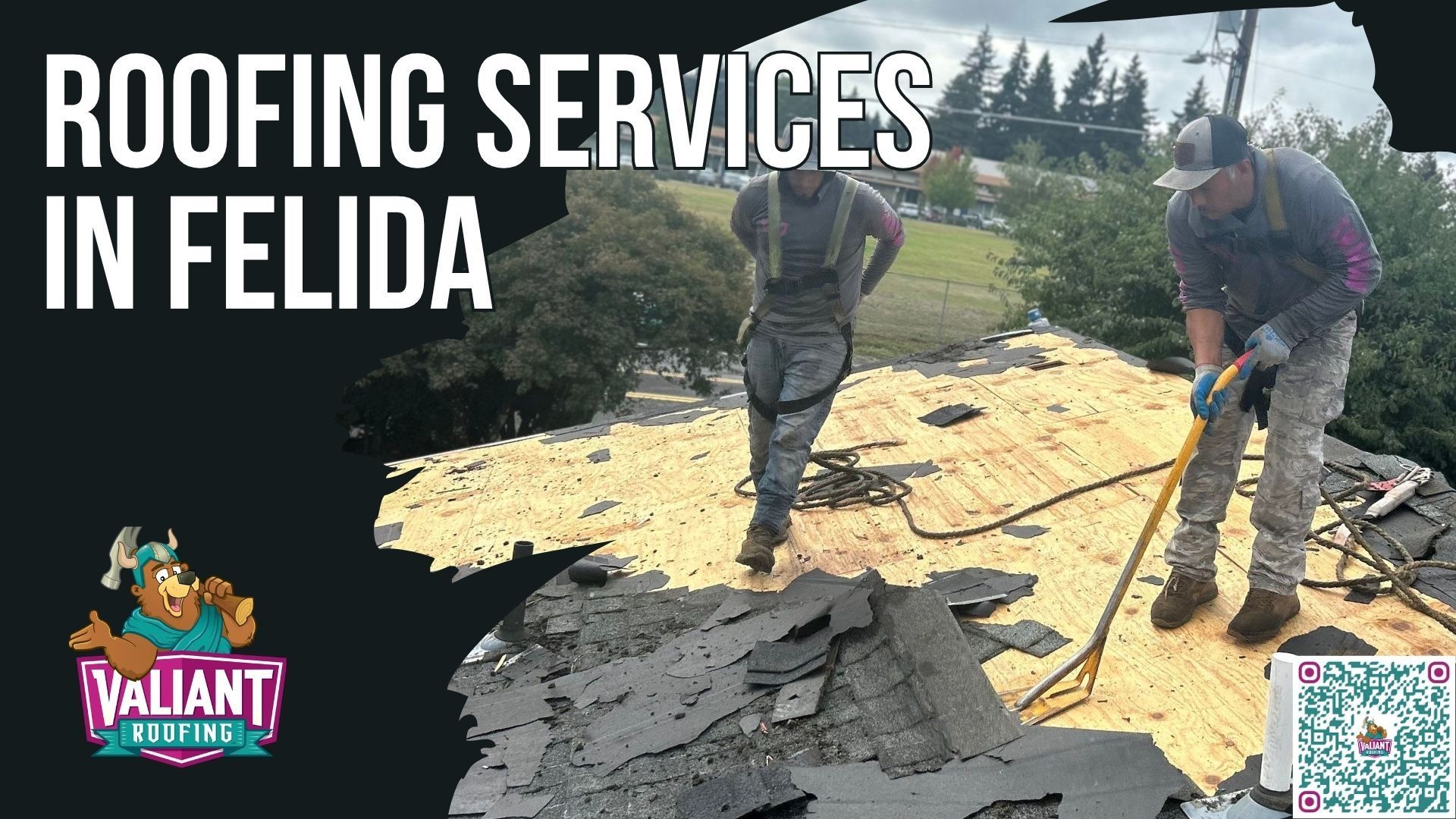 Two workers in safety harnesses strip old shingles from a roof in Felida, with a Valiant Roofing logo and QR code.