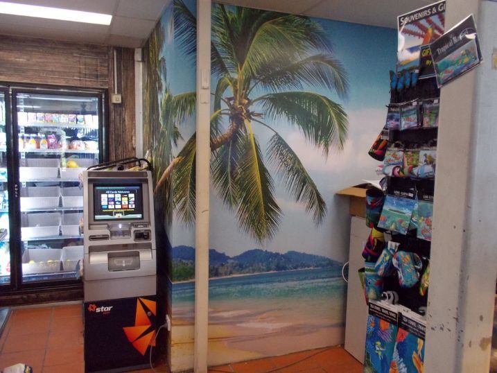 A Store With A Palm Tree Mural On The Wall — Cairns Signcorp In Portsmith, QLD