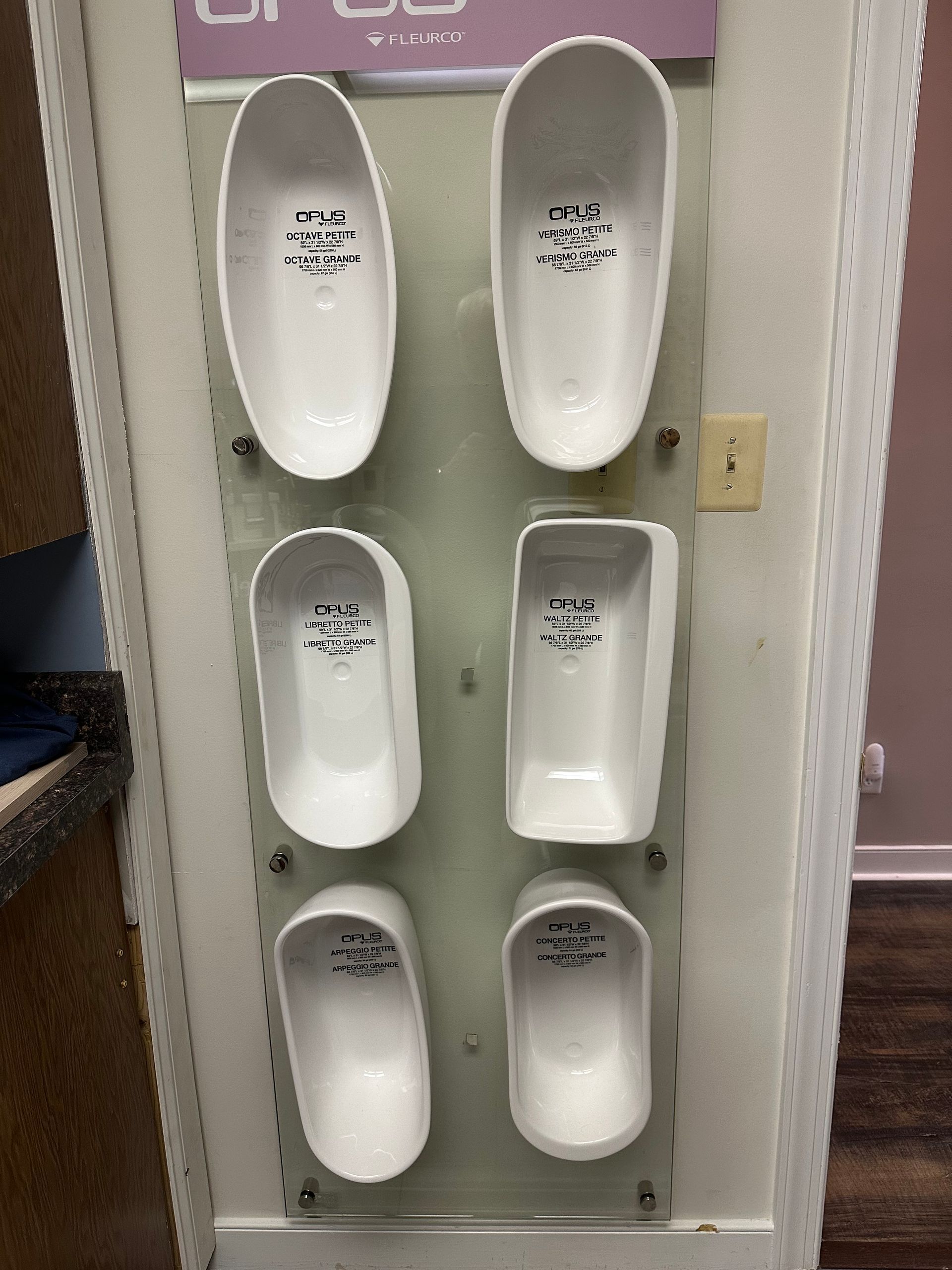 Display of six white shoe molds on a vertical panel with writing inside each.