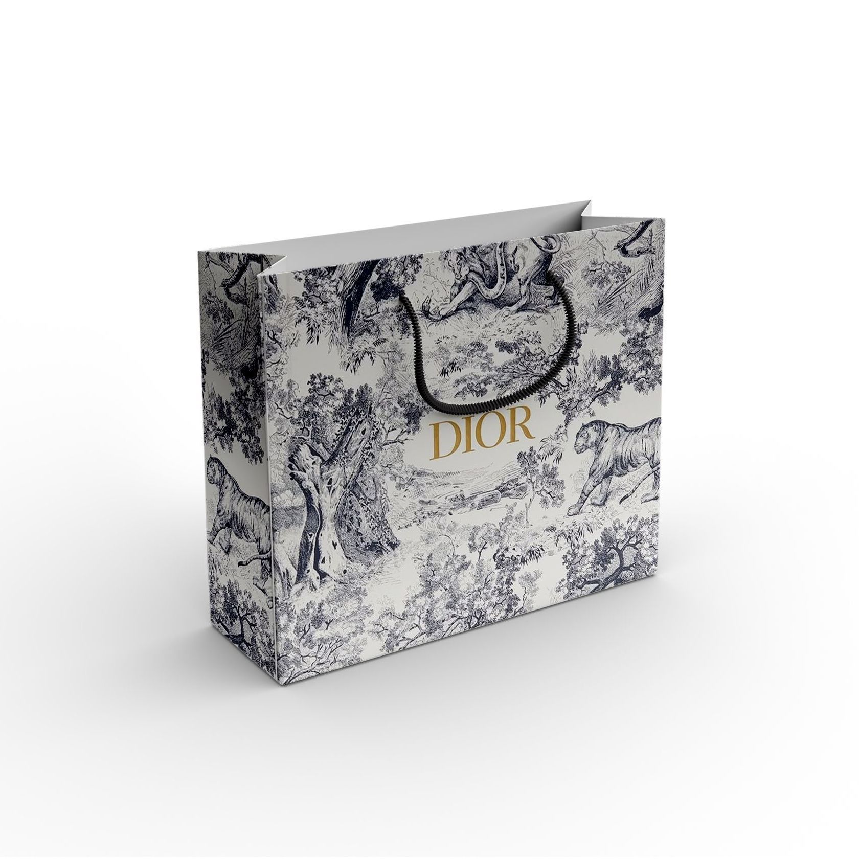 A dior shopping bag with a black handle on a white background.