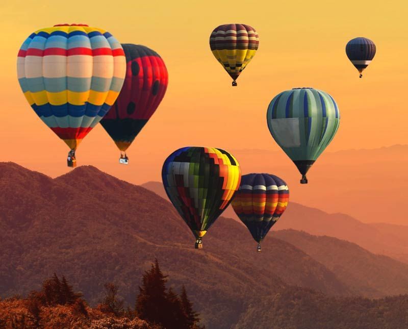 Prestation du vivant - Services Financiers Arel - Cabinet De Services Financiers