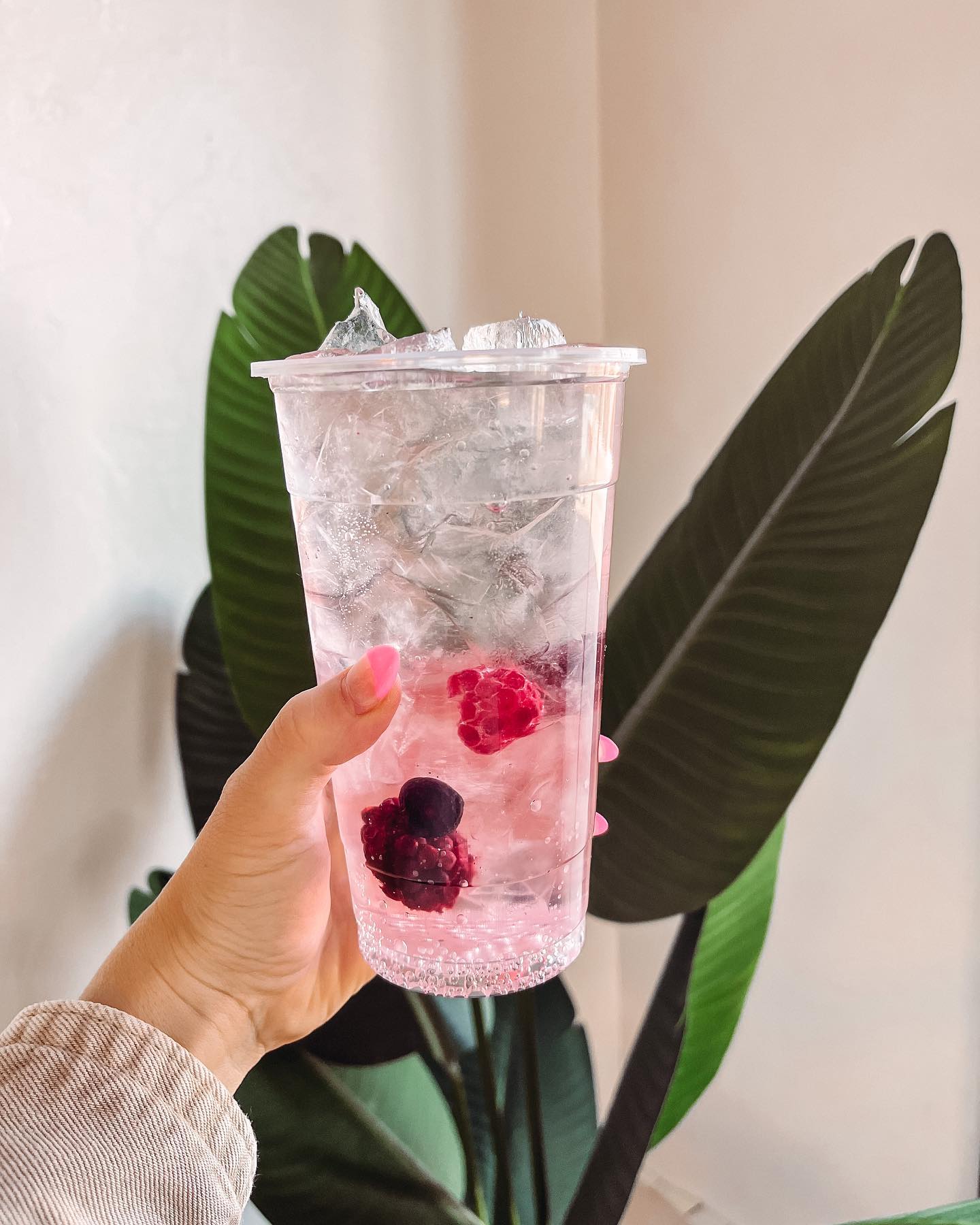A person is holding a pink drink with ice and berries in front of a plant.