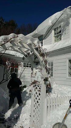 Roof Cleaning - Gutter Cleaning in Princeton, NJ