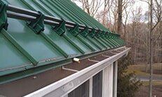 Green Roof - Gutter Cleaning in Princeton, NJ
