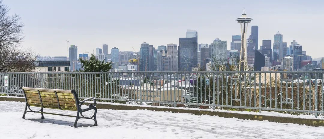 A snowy overlook with a wooden bench, featuring the Seattle skyline and Space Needle in the background.