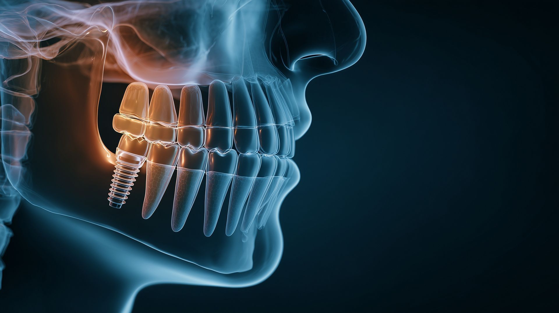 Side view of a translucent human skull showing teeth against a dark background with orange glow