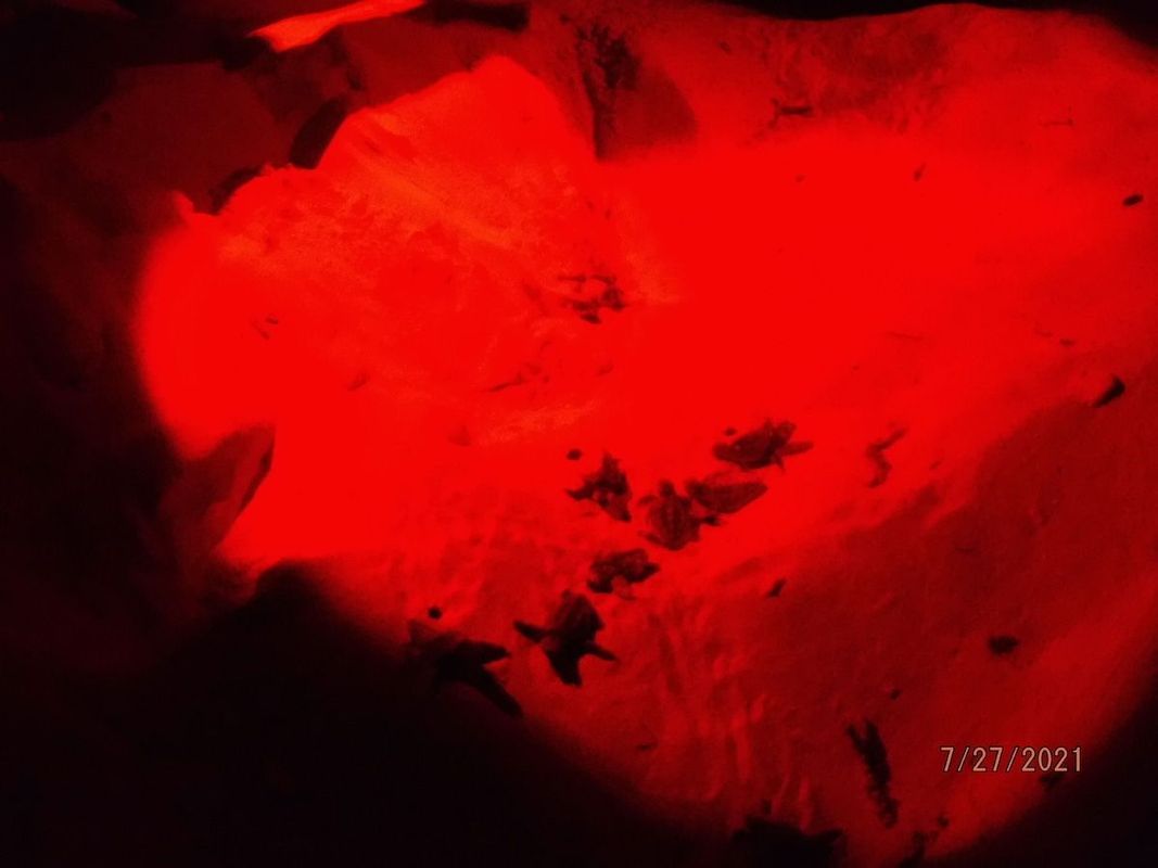 Isla Mujeres Beach Homes