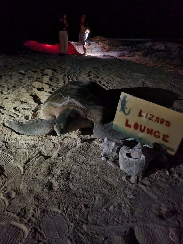 Isla Mujeres Beach Homes