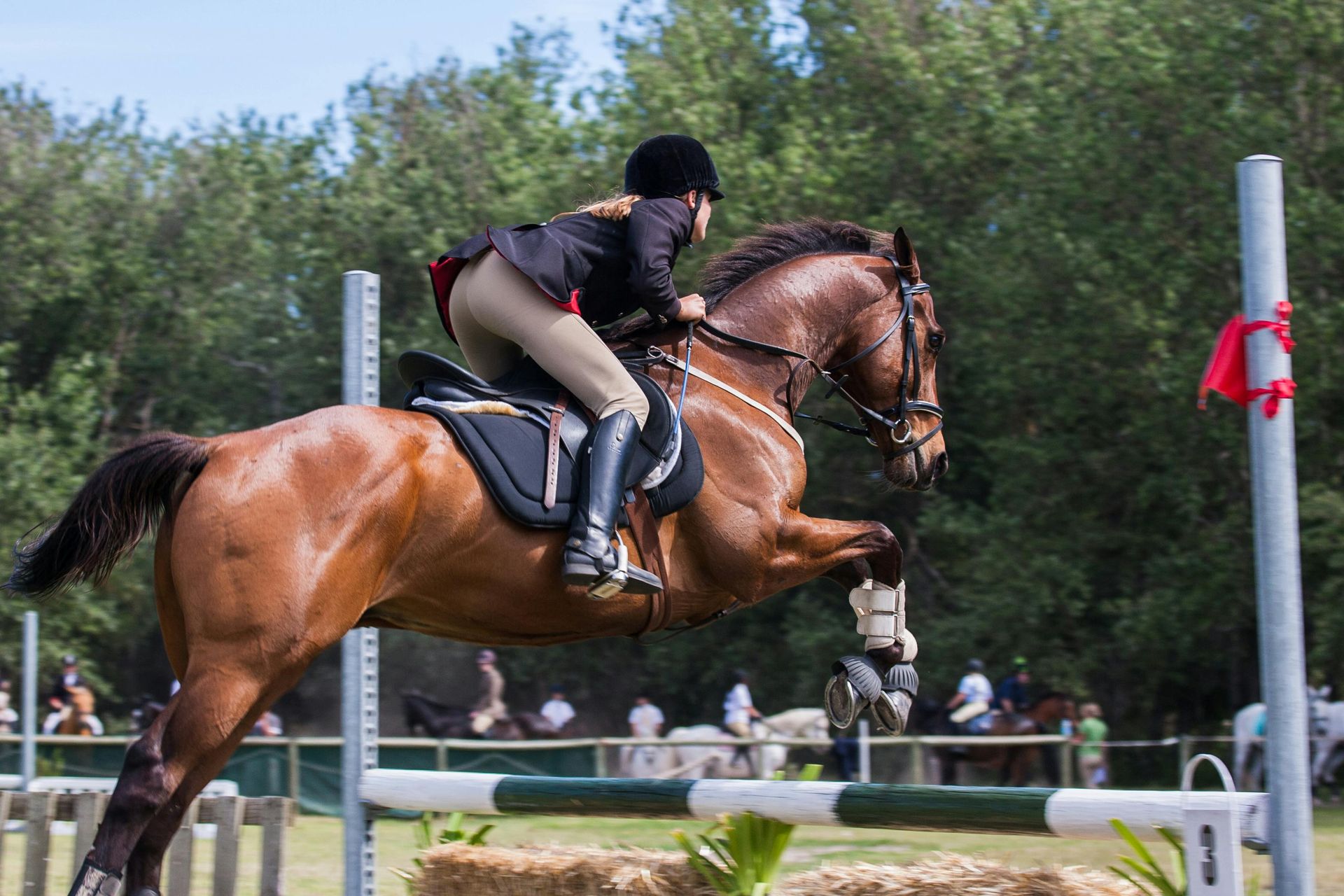 A rider on a brown horse jumps over a fence at an outdoor equestrian event.