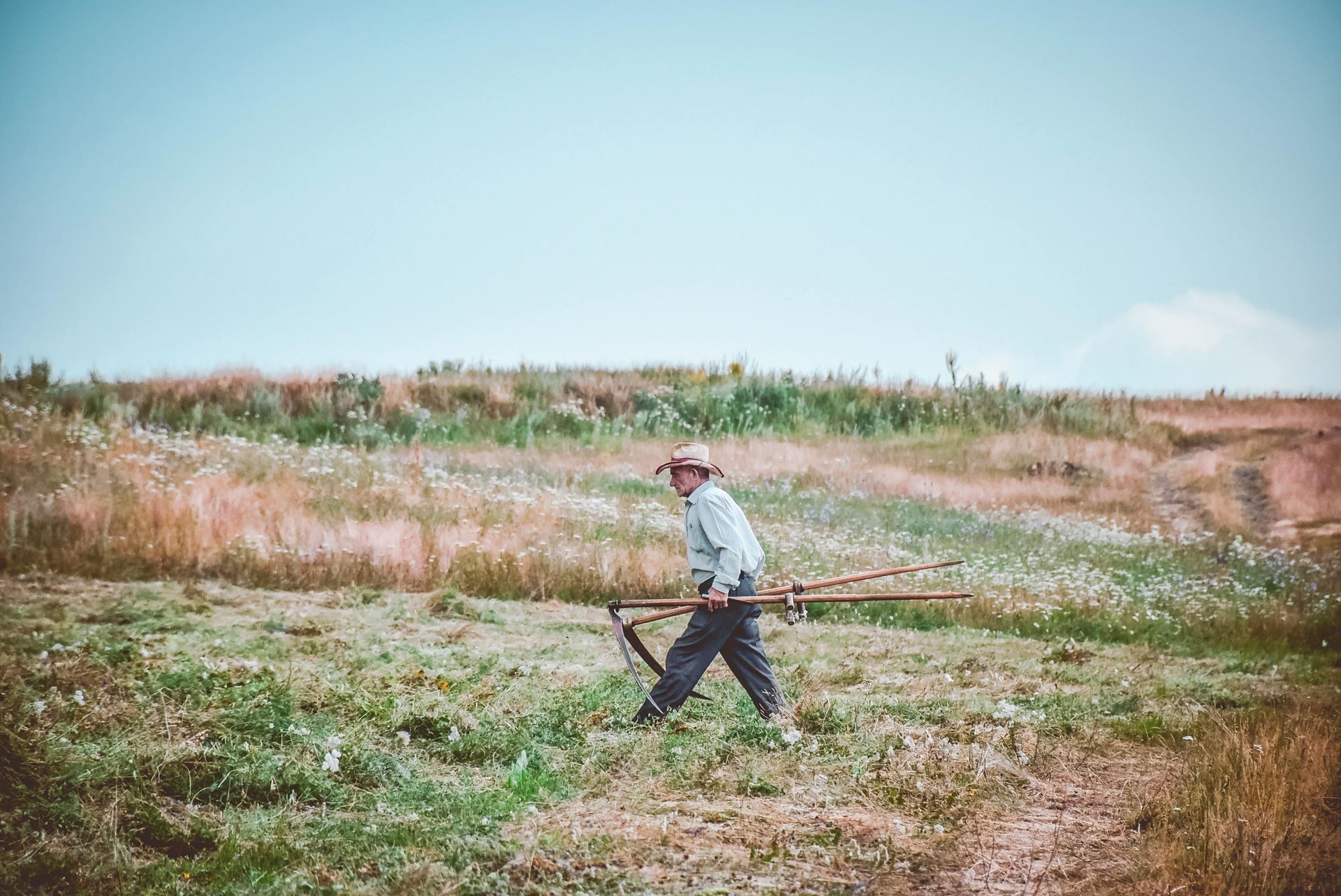 Man scything tall grass in a field under a bright blue sky.