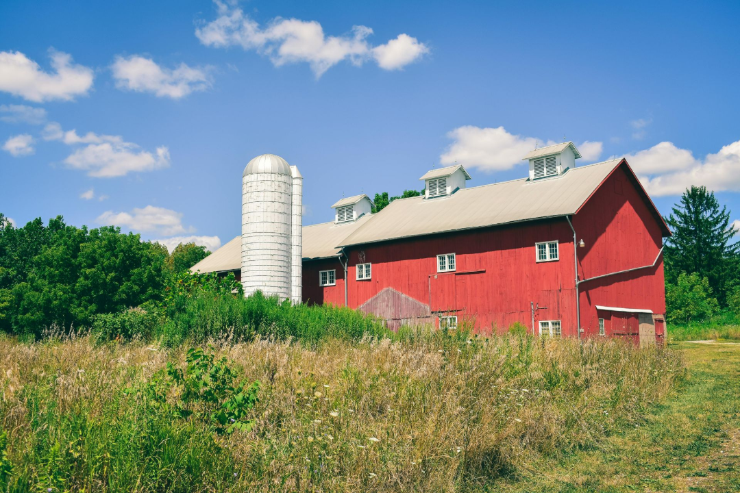 Red barn and silo against a blue sky, surrounded by tall grass and green trees.