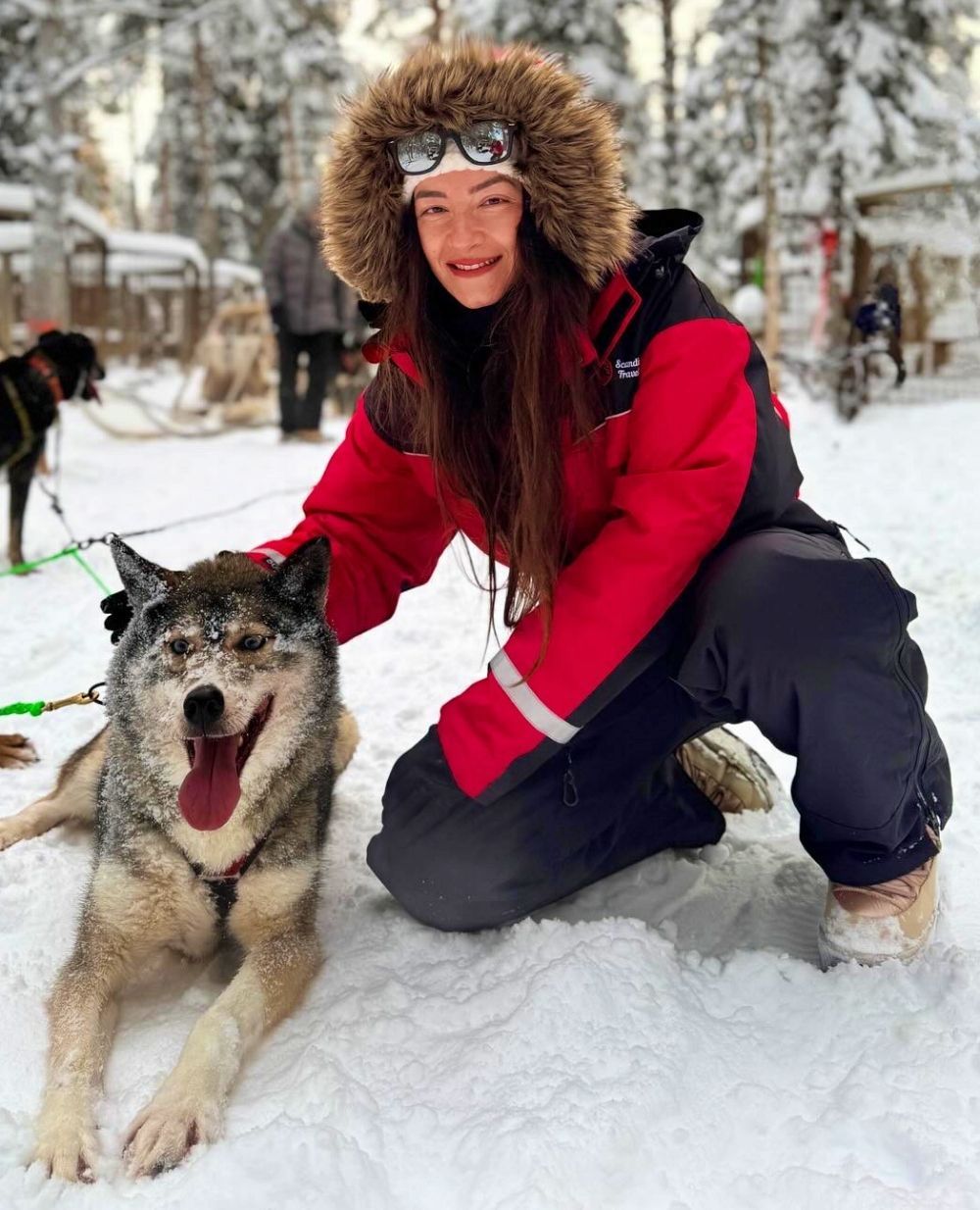 Husky Kennel in Levi, pet the dogs after 5 km safari