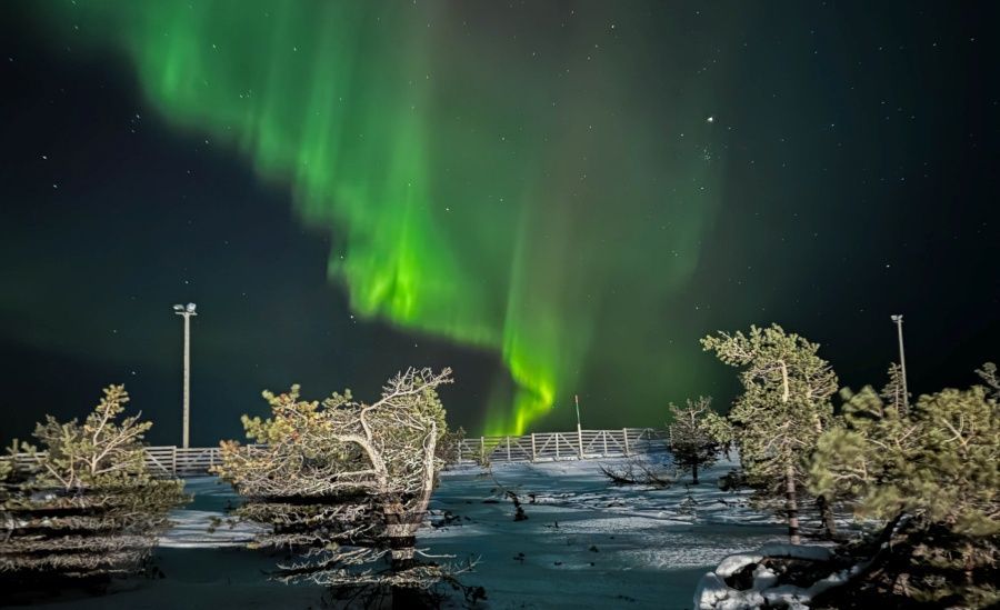 Polarman Camp levi Northern Lights