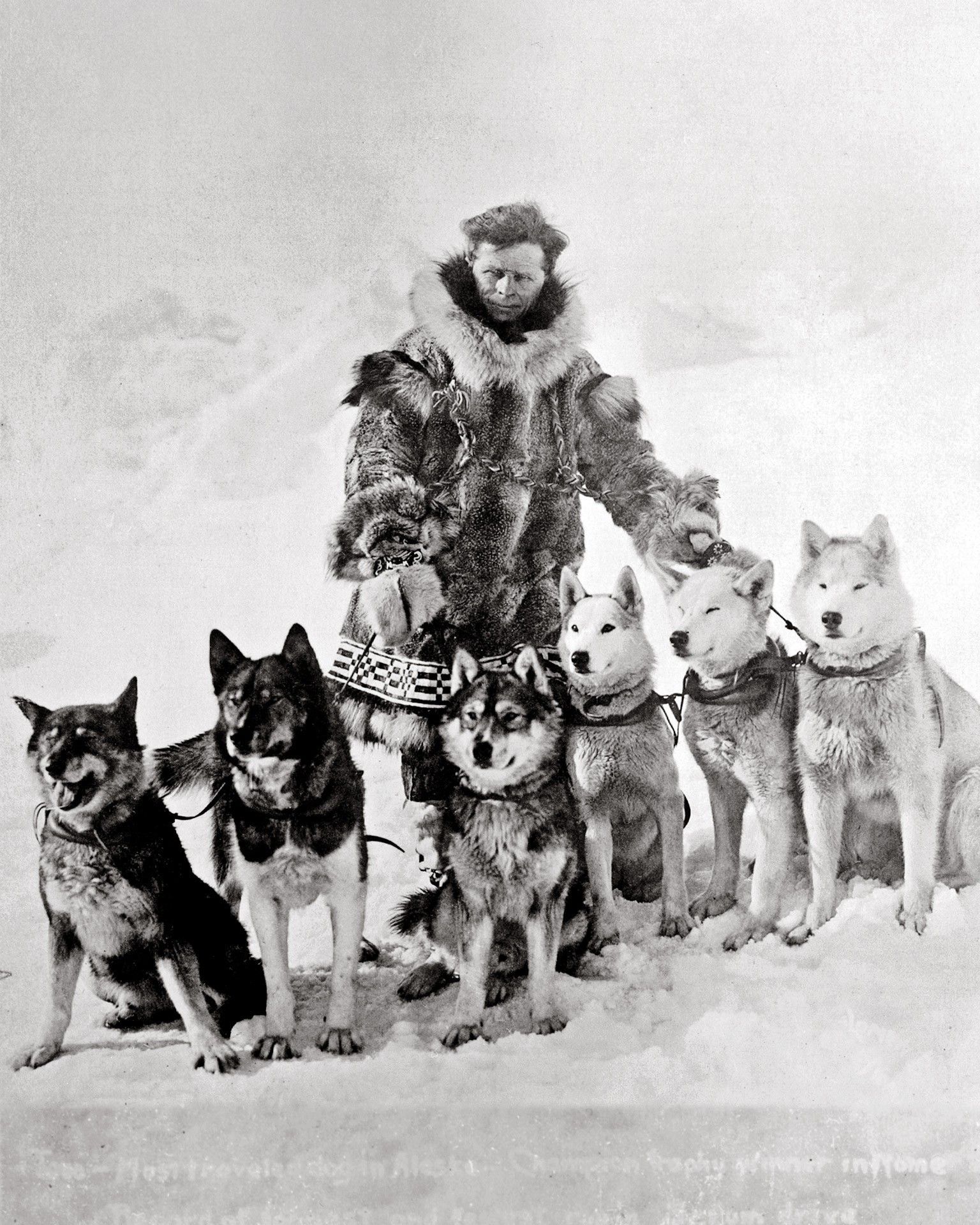 Leonhard Seppala with his dogs after. Copyright: Copyright © Carrie McLain Museum / AlaskaStock the serum run in 1925. His lead dog, Togo, is on the far left.
