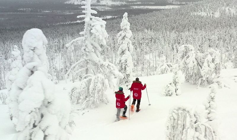 frozen trees snowshoeing tour levi