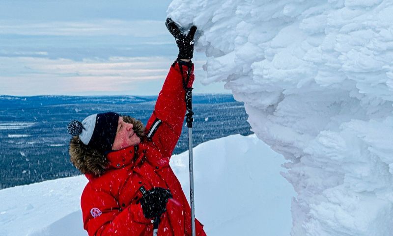 Snowshoeing in Levi tykky trees