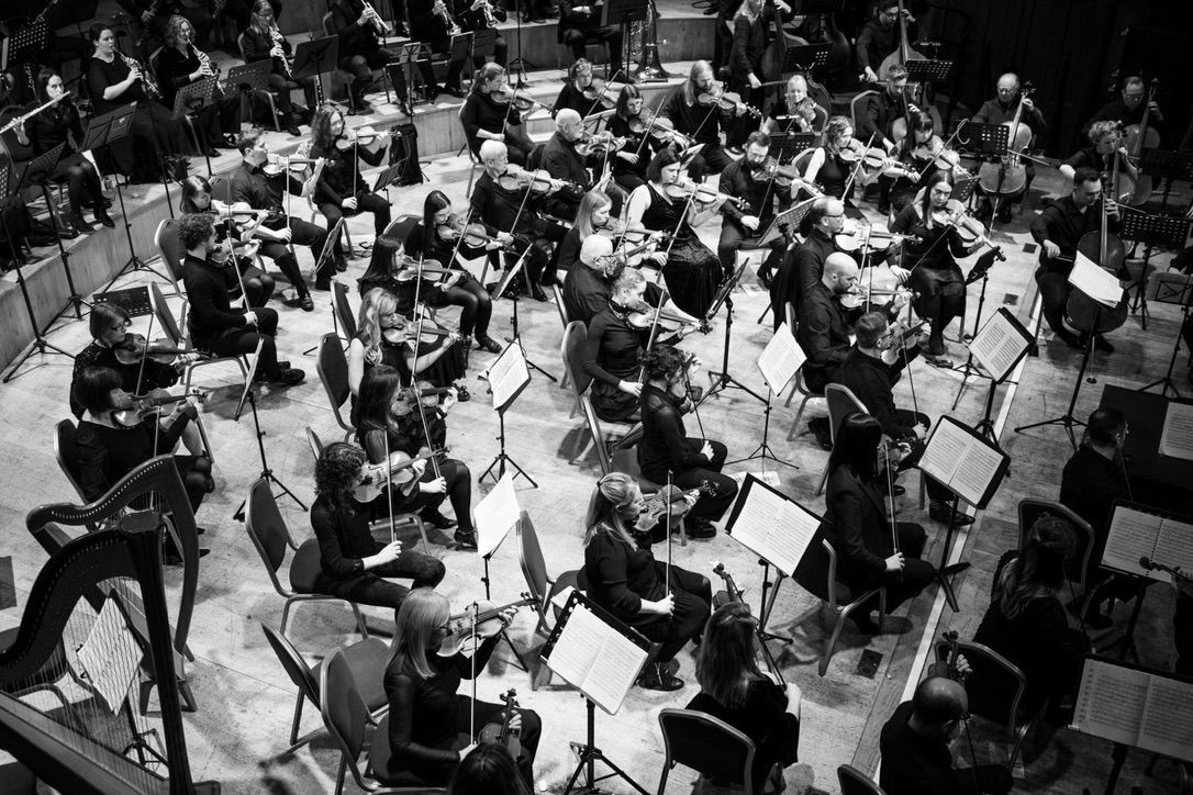 Violin Kilkenny City