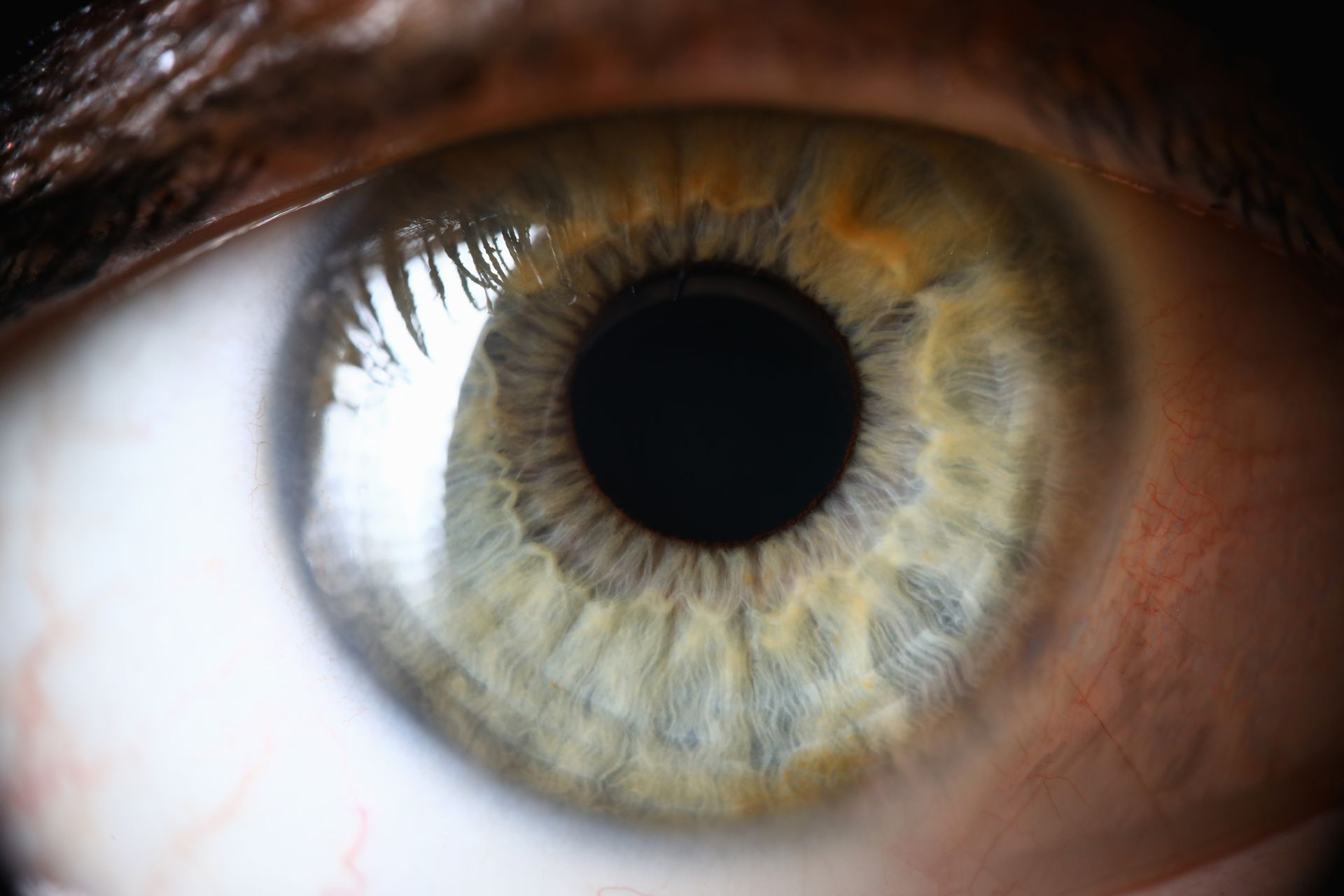A close-up, high-detail photograph of a human eye with a green and yellow iris and a centered black pupil.