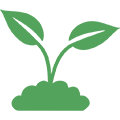 Icona – Centinaia di varietà di piante