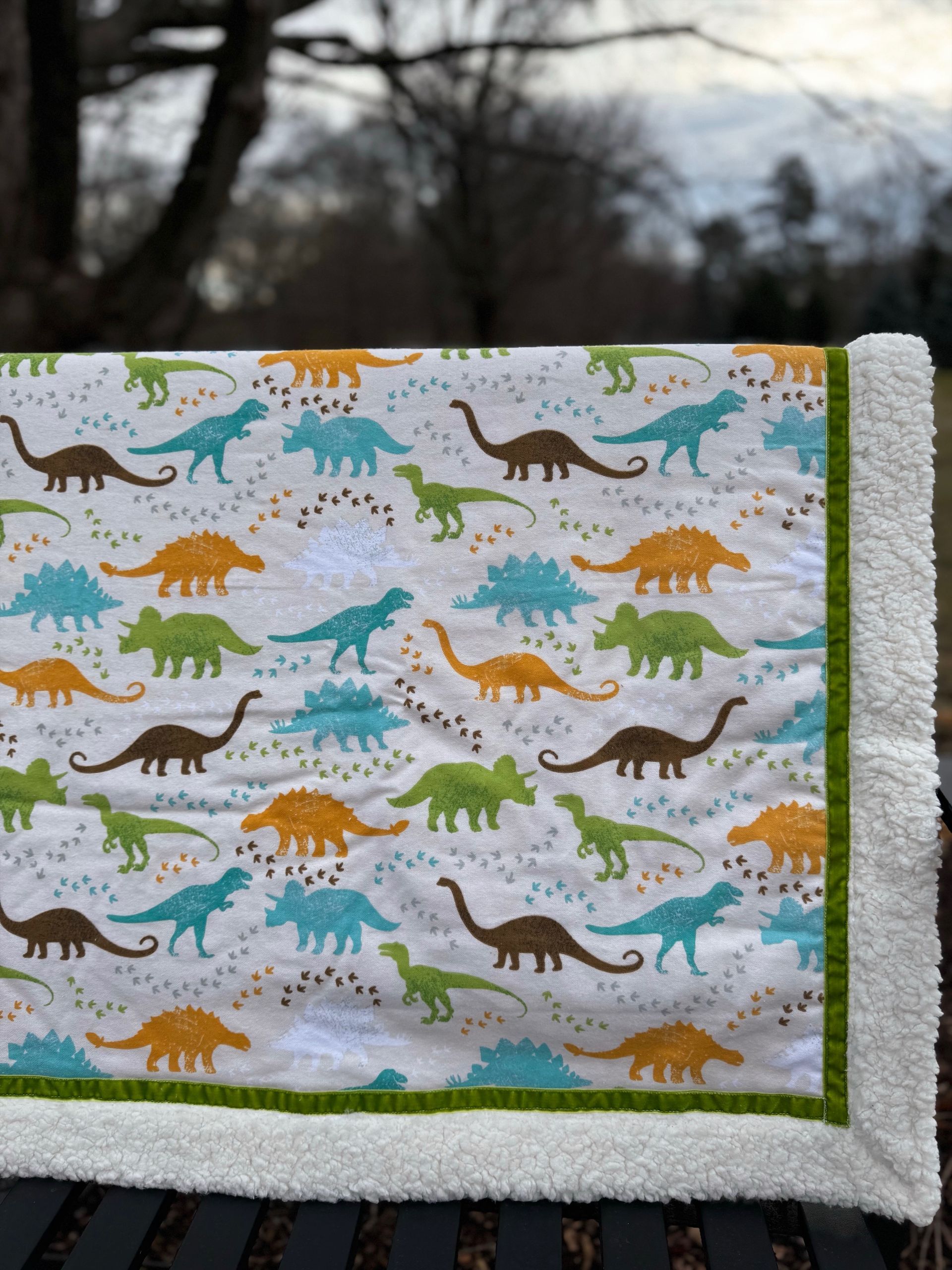kadori sherpa baby blanket with printed pastel dinosaurs